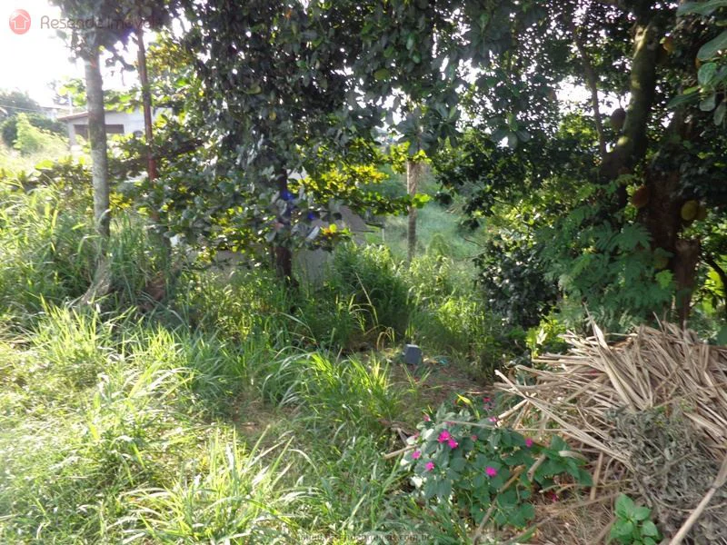 Foto 5 de 5 - Terreno para venda em Santo Amaro